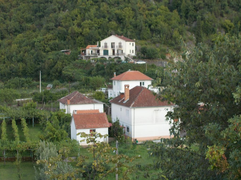 Guesthouse Feel Lake Virpazar Exteriör bild